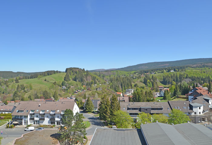 Bergpanorama wohnung_1 bild 8