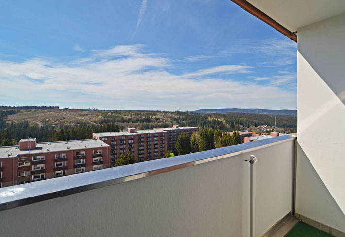 HH-Harztraum wohnung_1 bild 7